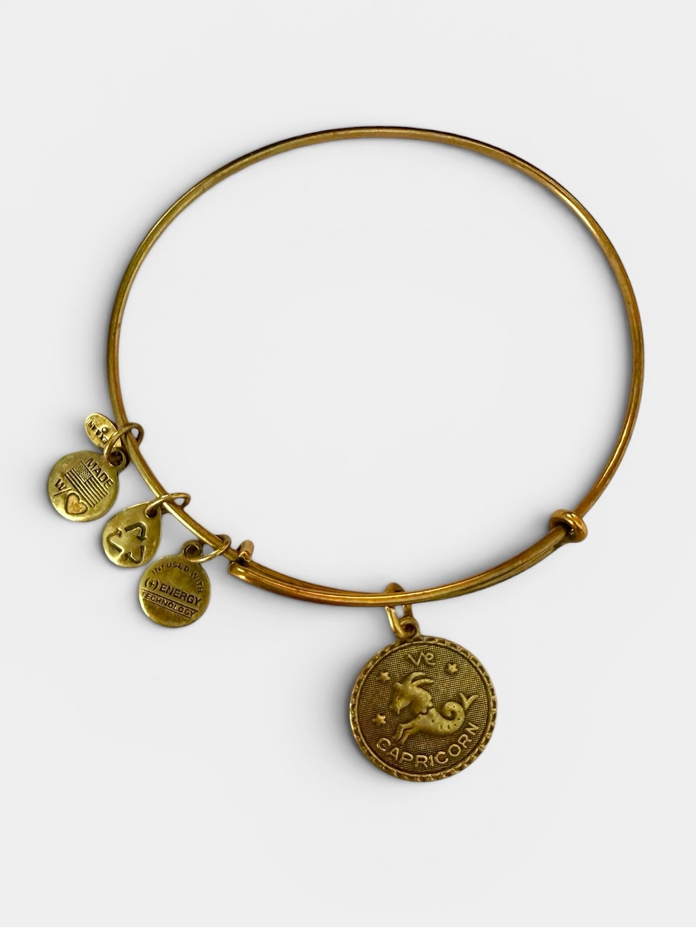 Alex and Ani Vintage Capricorn Zodiac Rafaelian Gold Finish Bangle Bracelet